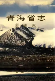 《青海省志彩陶志》封面