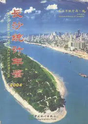 点击查看《2004年版长沙统计年鉴 2004》封面大图 《2004年版长沙统计年鉴 2004》封面 - 湖南省长沙市地方志PDF电子版