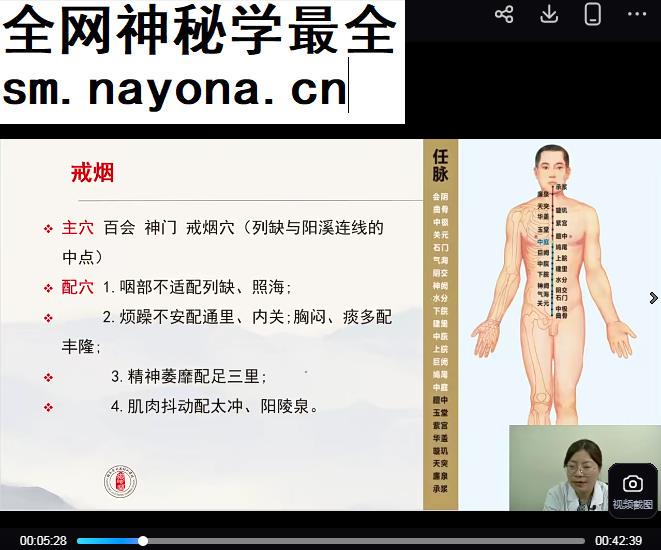 陈沙沙黄帝内针疼痛调理视频课程25集