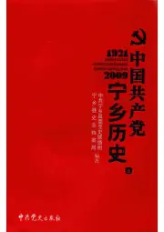 《2011年版中国共产党宁乡历史  上》封面