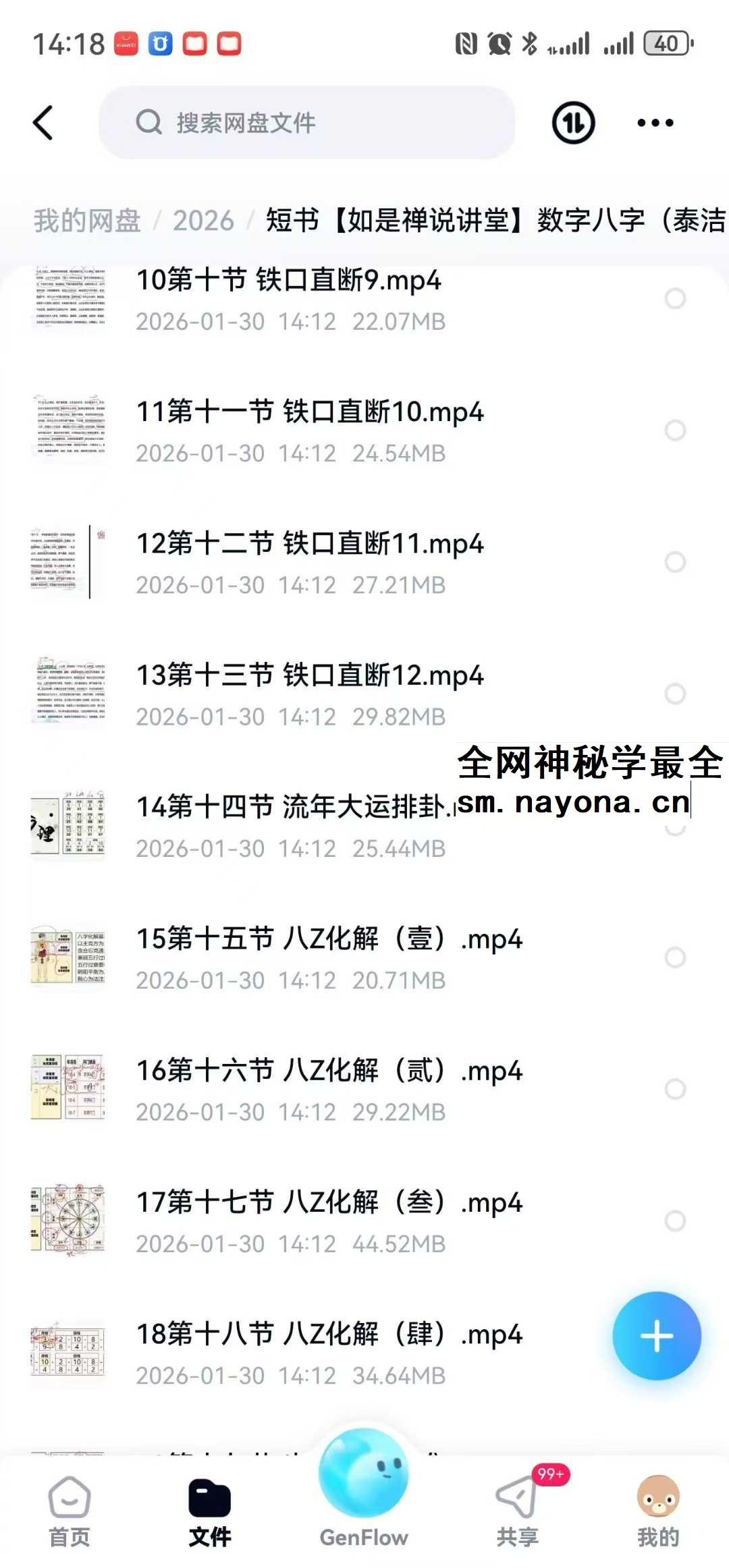 【如是禅说讲堂】数字八字（泰洁）高级班35集