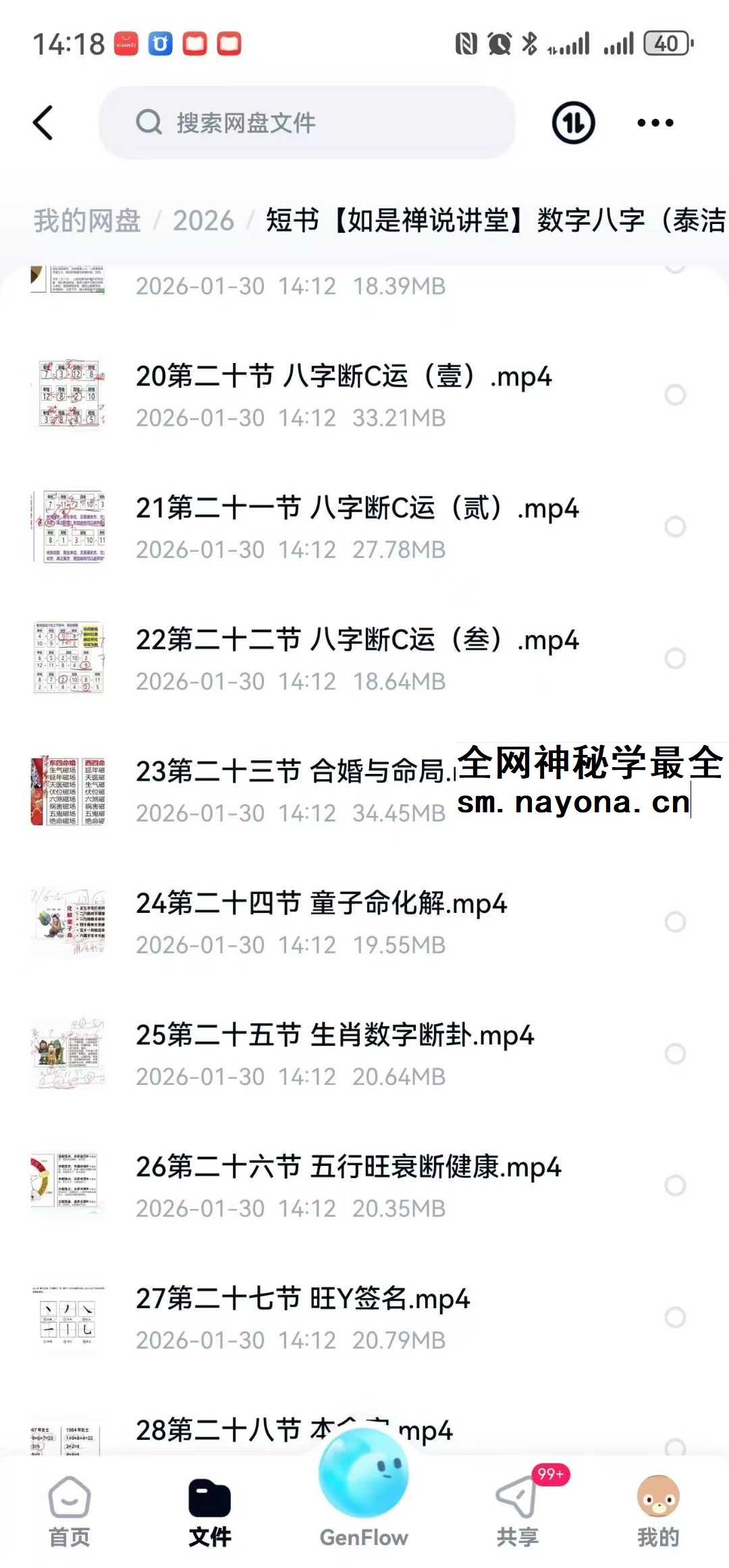 【如是禅说讲堂】数字八字（泰洁）高级班35集