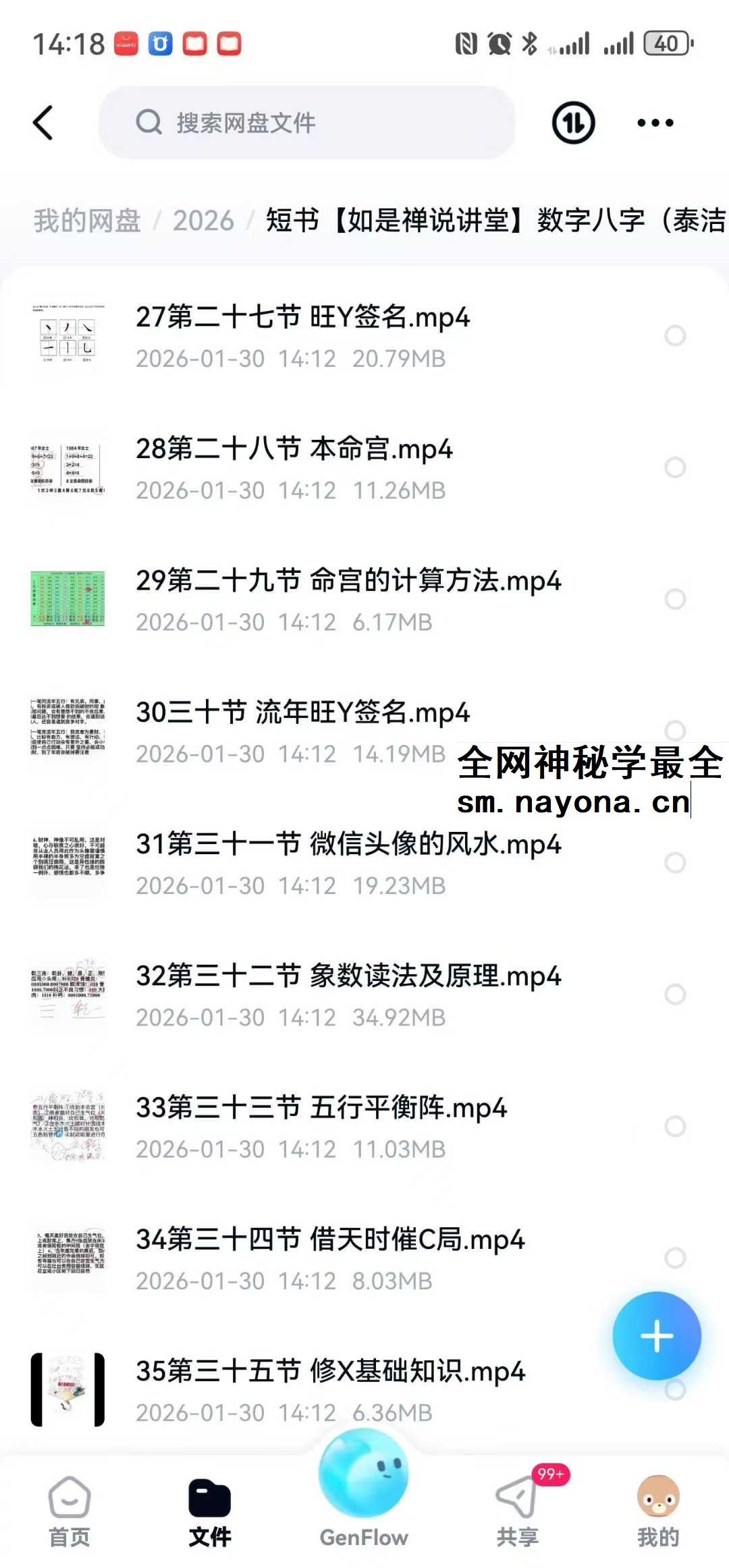 【如是禅说讲堂】数字八字（泰洁）高级班35集