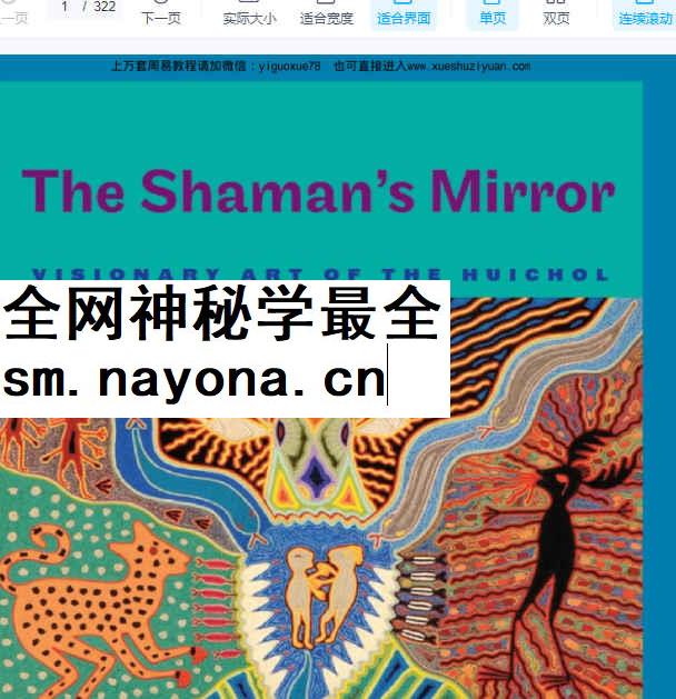 260373 萨满文化系列 深度探索 萨满的镜子 322页 电子版Y插图