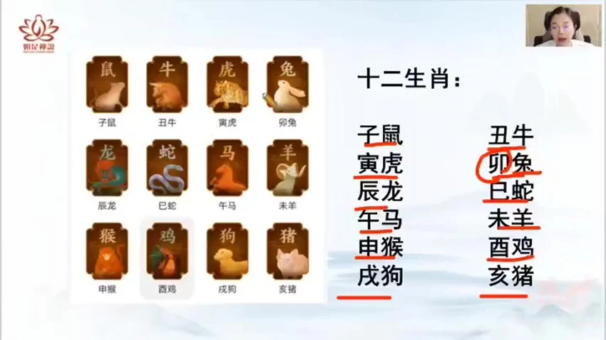 《【辰南】如是禅说 财C局阵法》视频11集