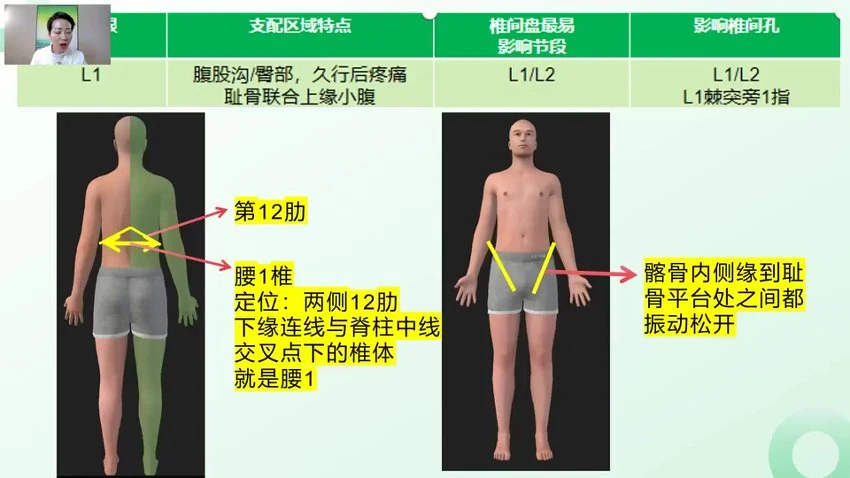 程丽丽《骨神经松动能量波系列网课》视频20集