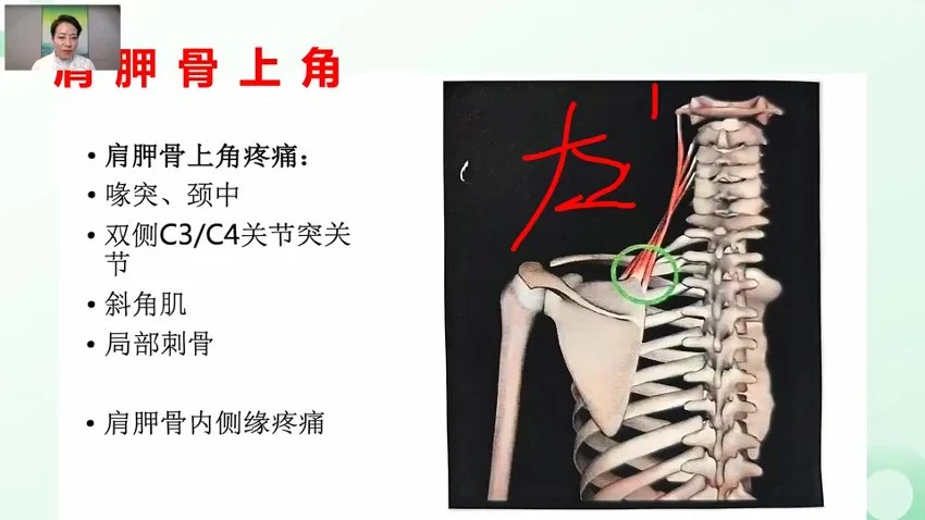程丽丽《骨神经松动能量波系列网课》视频20集
