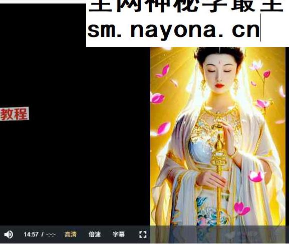 《内观中觉醒》课程合集视频305集