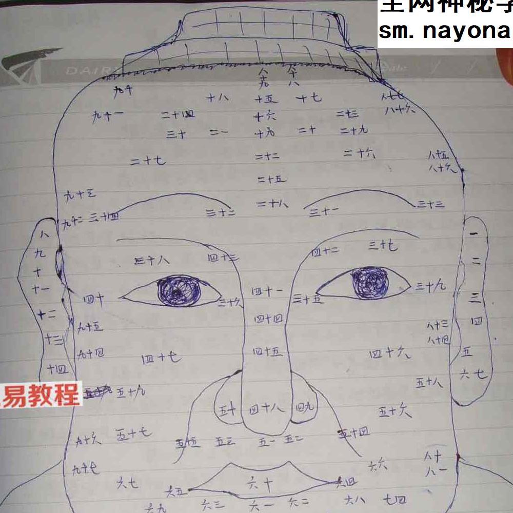 王红人《王红人面相班笔记（110页原版手抄）》.pdf