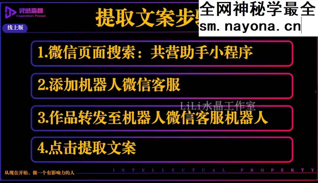 Lili水晶变现两套 视频课78集