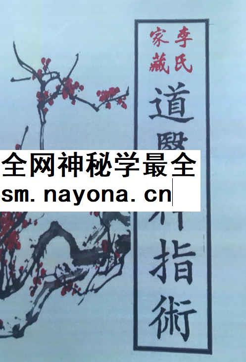 2603144 道医神指术插图