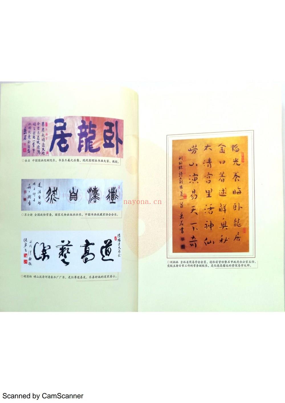 金口解秘《金口解秘 未道》PDF电子书（135页）