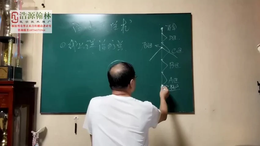《–中级班几十种疾病治疗办法》视频15集