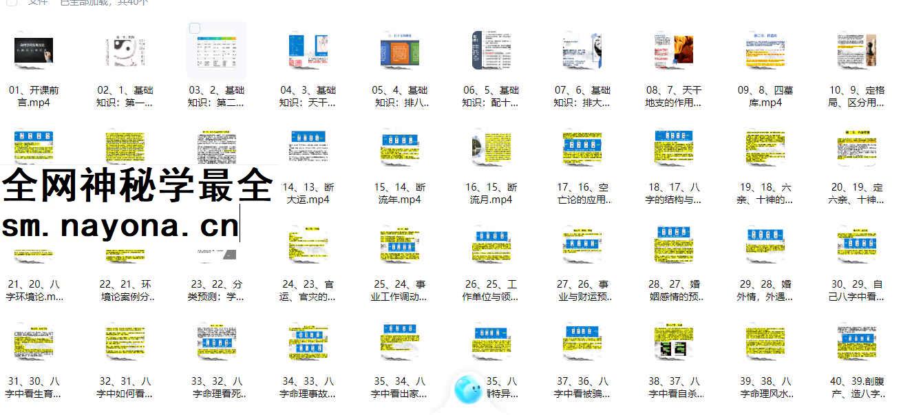 2603116 清阳山人《八字命理精华课》40集插图