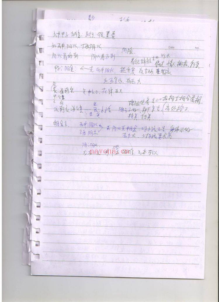 《金锁玉关陈炳林弟子面授讲义+笔记版》PDF电子书（186页）