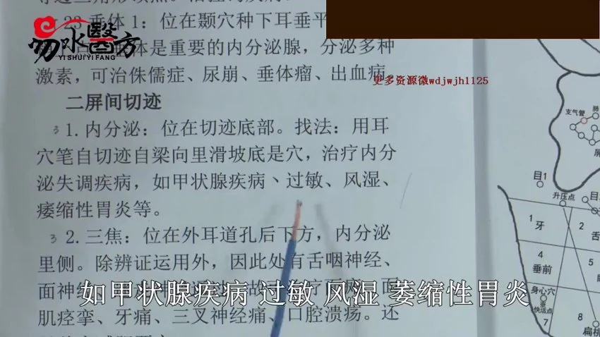 《零基础一周掌握耳穴疗法【45集】》视频45集