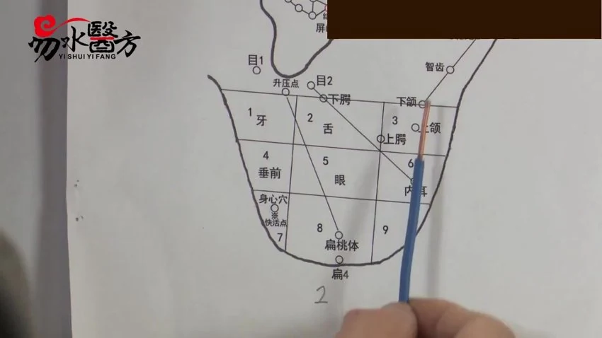 《零基础一周掌握耳穴疗法【45集】》视频45集