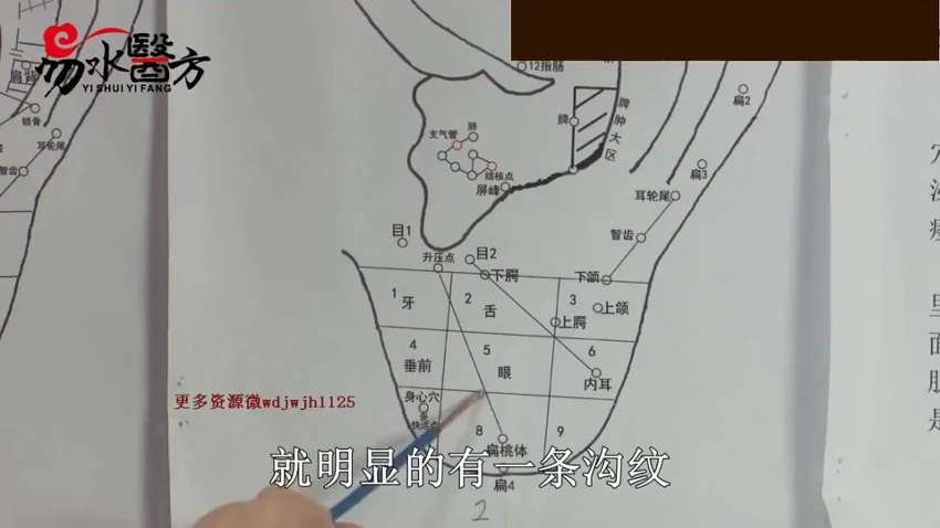 《零基础一周掌握耳穴疗法【45集】》视频45集