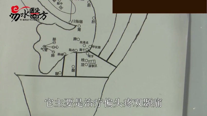 《零基础一周掌握耳穴疗法【45集】》视频45集