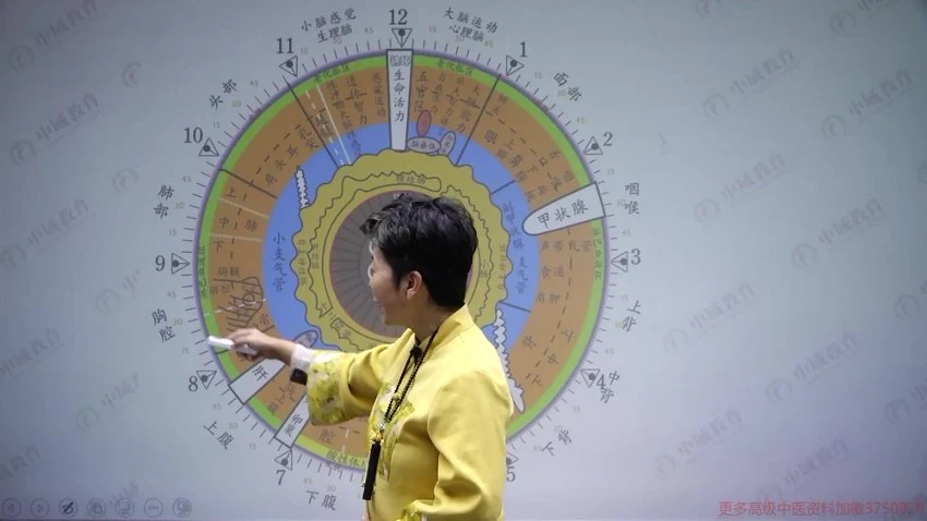 《刘惠珍岐黄真源谧术》视频23集