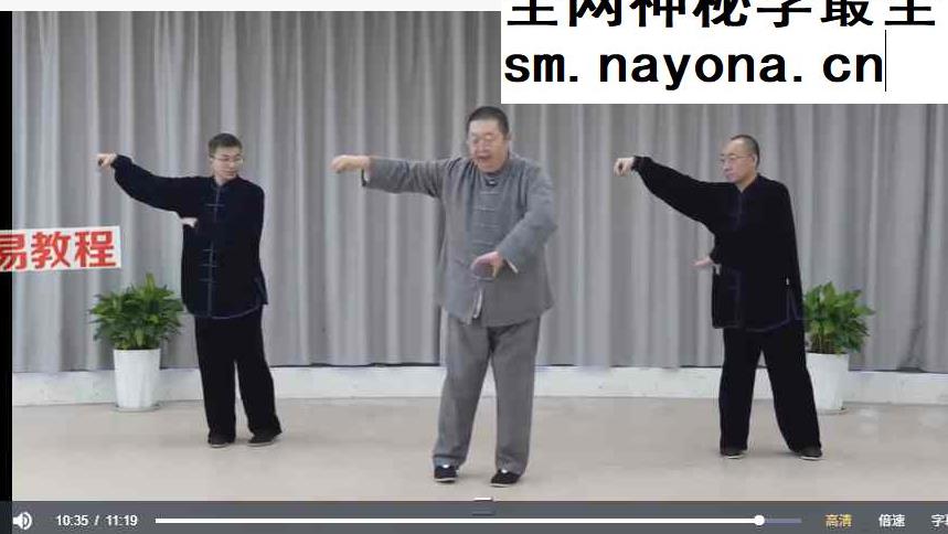 南派太极线上传承班课程视频