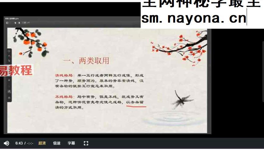 青兰四柱八字初级+高级课程视频59集