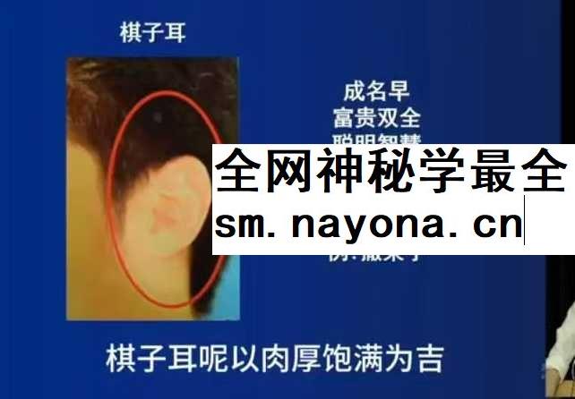 识人辨人课24集