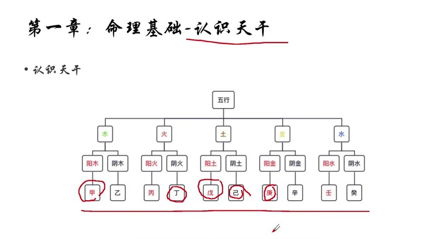 马易缘《四柱八字课》视频24集