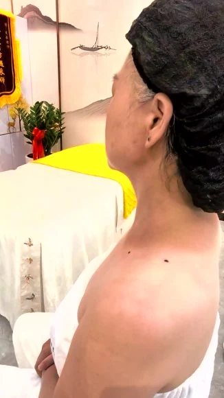 《美善200元网课配套书籍》视频30集