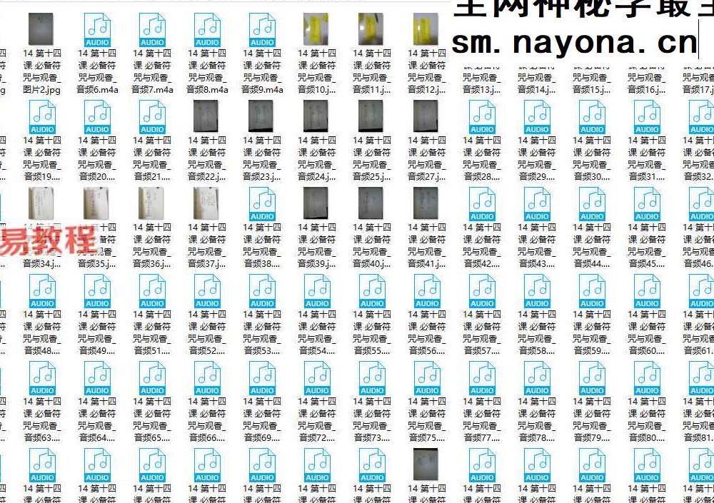 萨满、帮兵研修 音频 课件