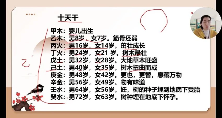 《如是禅说梅花易数 30集视频》视频30集