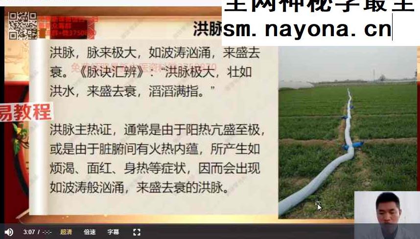 信澄老师;龙门道医阴阳脉法 视频45集
