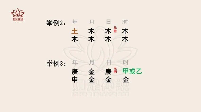 《如是禅说【明玄】四柱学高阶班》视频21集