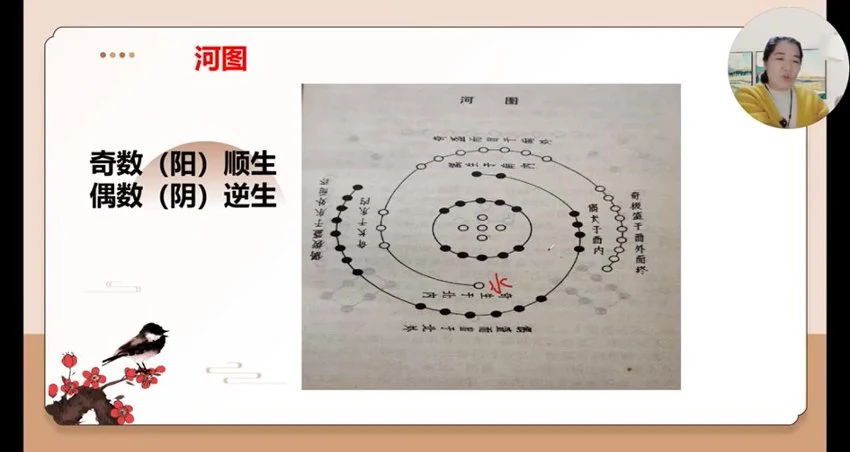 《如是禅说梅花易数 30集视频》视频30集
