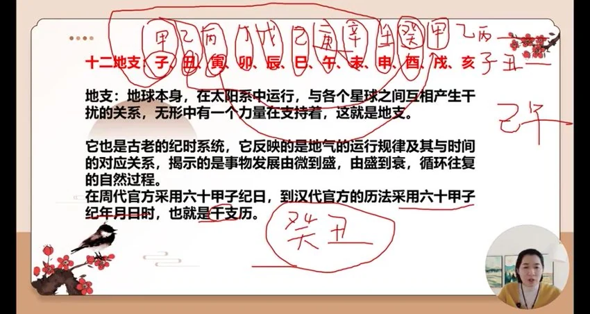 《如是禅说梅花易数 30集视频》视频30集