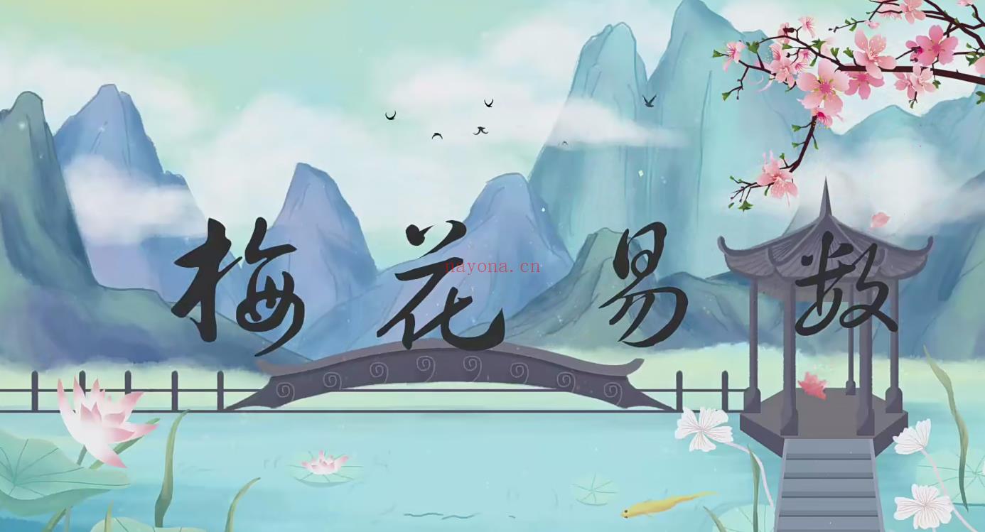 冯武杰《梅花易数》30集;百度网盘