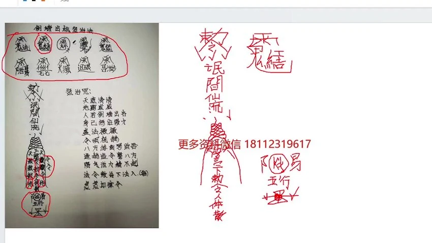 尚渊老师《最新道法合集》视频17集
