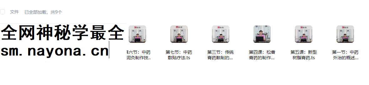 2603119 中药外治疗法膏药、泥灸、铺灸、中药敷贴等——王合民_国学术教程 学术资源网