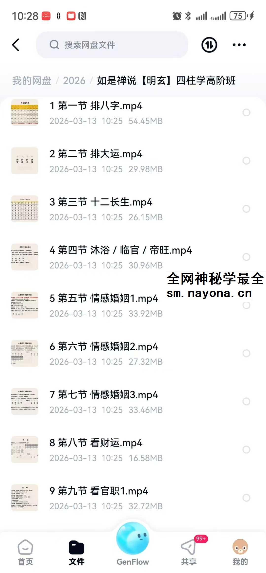 如是禅说【明玄】四柱学高阶班21集