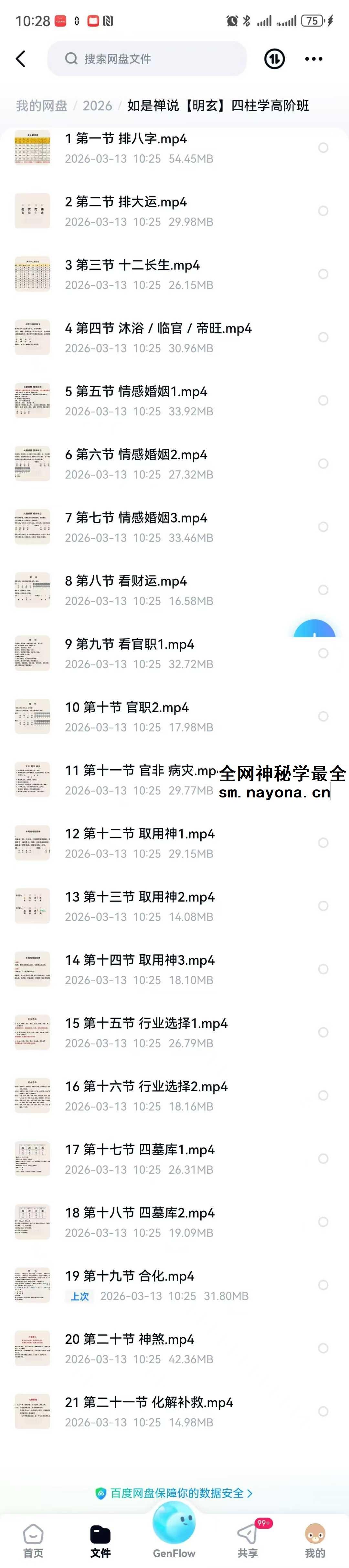 如是禅说【明玄】四柱学高阶班21集