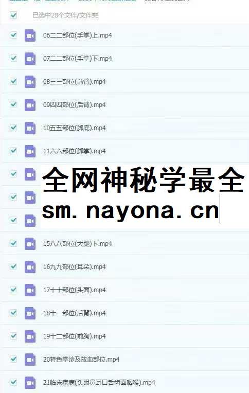 吴春梅 董氏奇穴28集