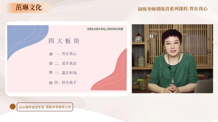 《王茁琳课程合集》（共12套课程）