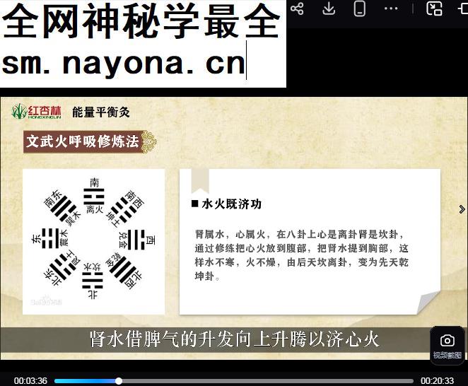红杏林付子康能量平衡灸线上高级9班视频课程24集