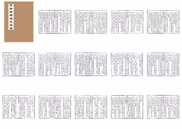 C0169_赵氏_西桥赵氏宗谱_22.pdf[地方藏谱] - A更新