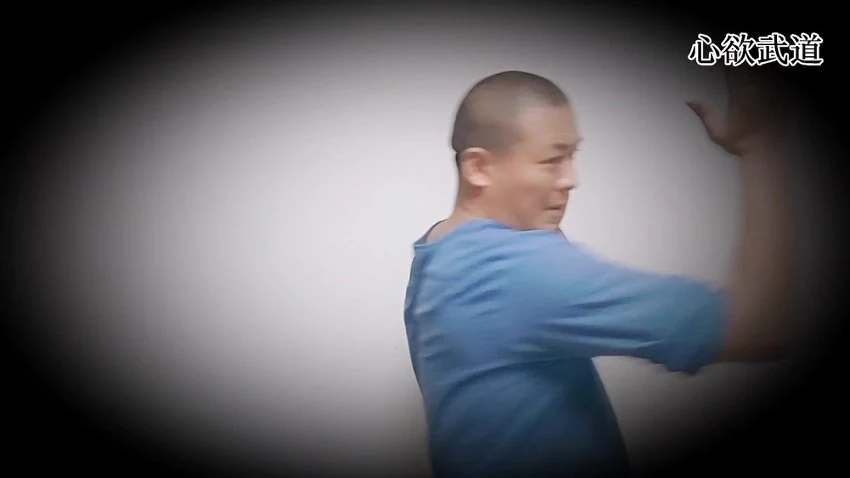 心欲武道《蝴蝶肘》视频37集