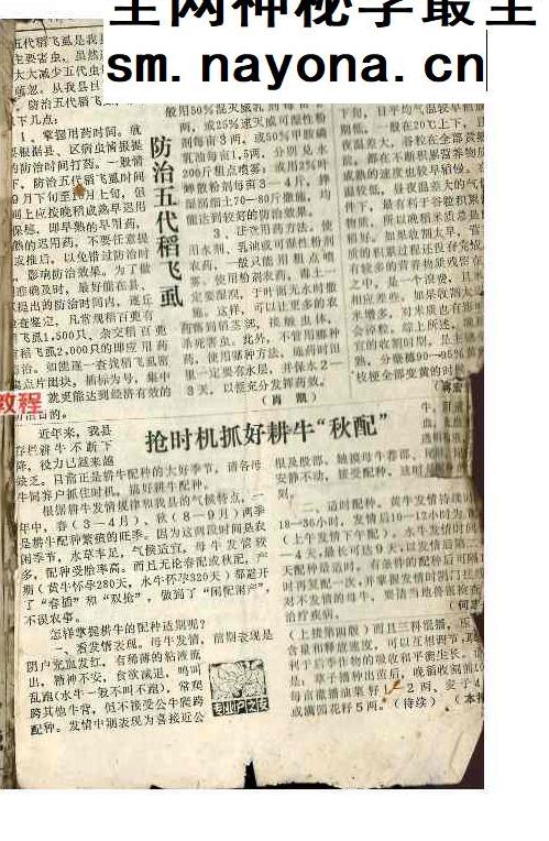祖传药书道医.pdf 96页