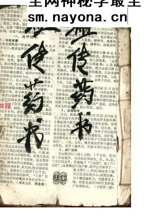 祖传药书道医.pdf 96页