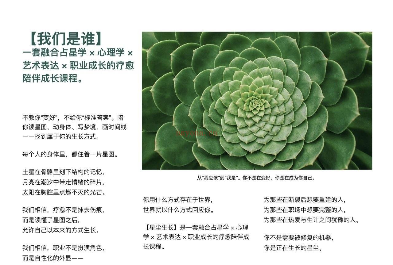 星尘生长融合疗愈陪伴计划