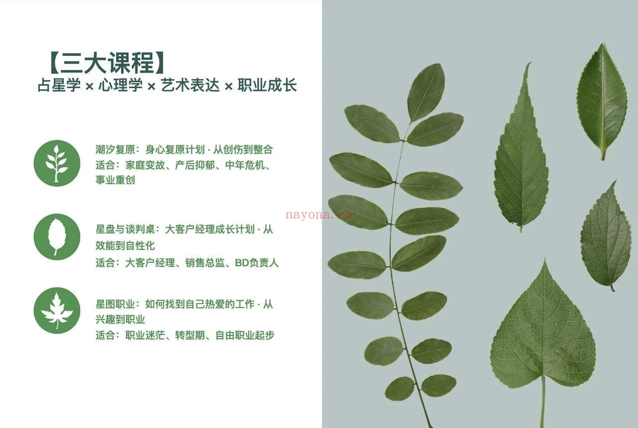 星尘生长融合疗愈陪伴计划