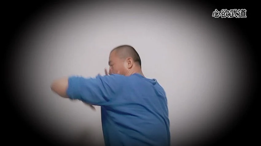 心欲武道《蝴蝶肘》视频37集